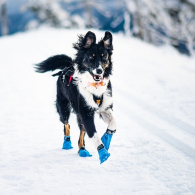 Long Distance Bootie Hundstrumpa för Snö - Non Stop Dogwear