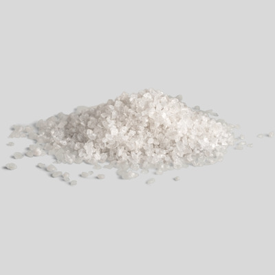 salt hundar
